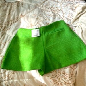 Womens dressy apple green shorts